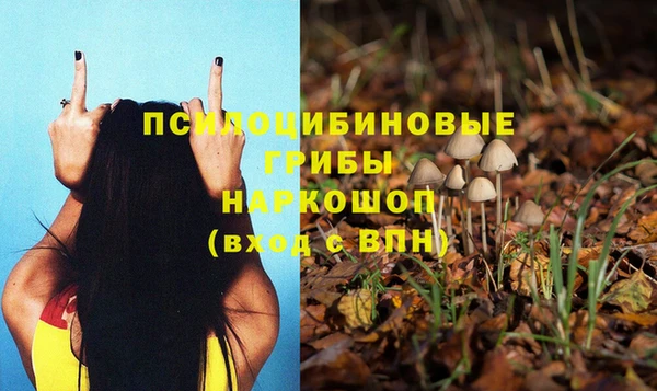 герыч Богородицк