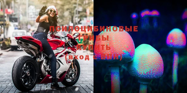 марки nbome Богданович