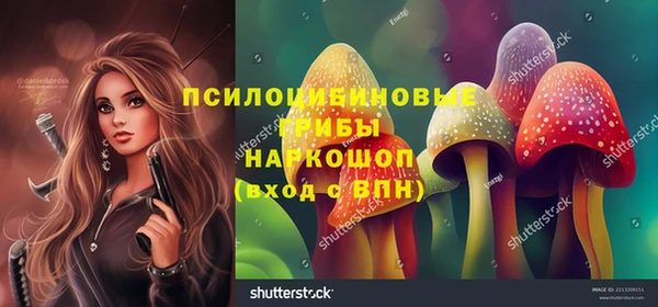 гидропоника Богородск