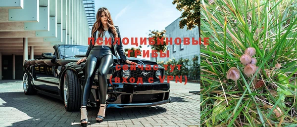 марки nbome Богданович