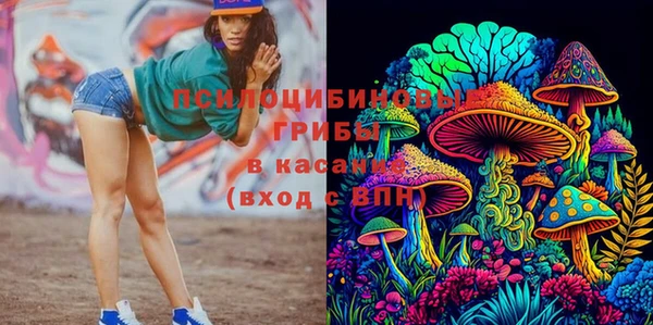 герыч Богородицк